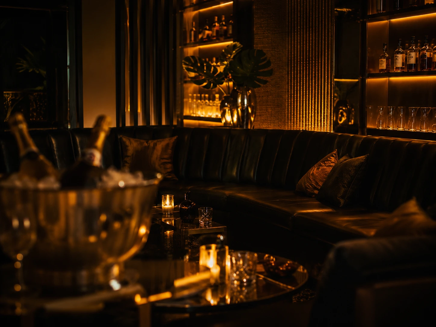 Lounge Experience